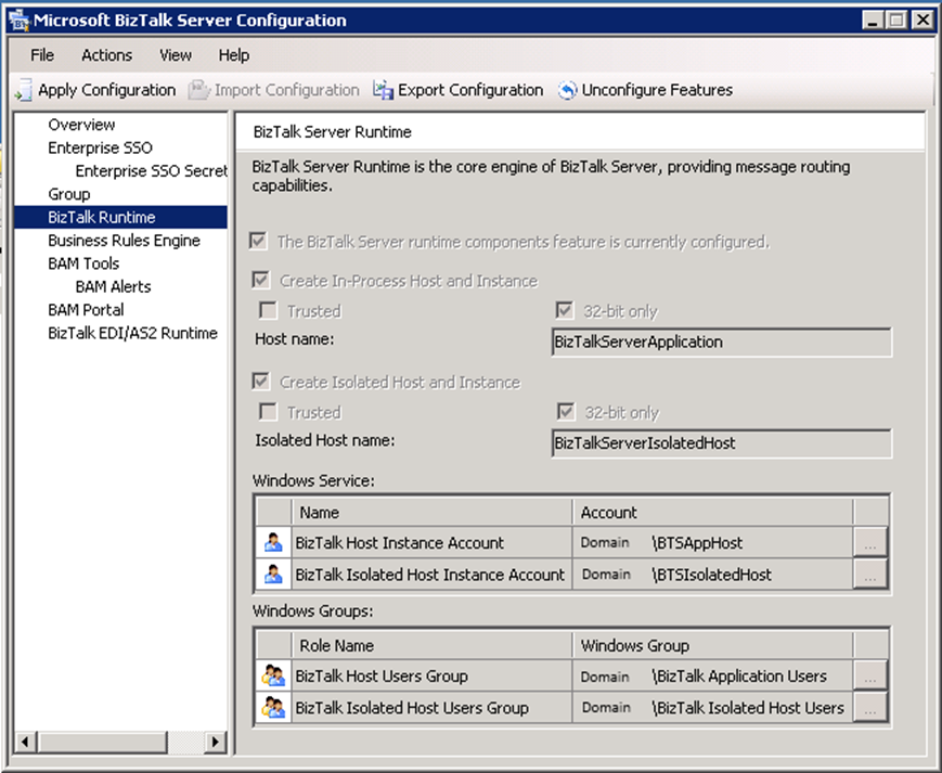 BizTalk Custom configuration BizTalk Runtime tab screen