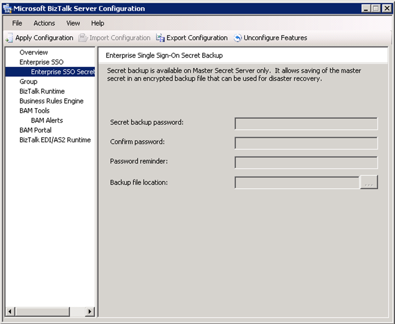 BizTalk Custom configuration Enterprise SSO Secret Backup tab screen