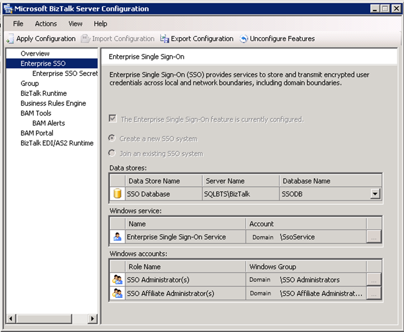 BizTalk Custom configuration Enterprise SSO tab screen